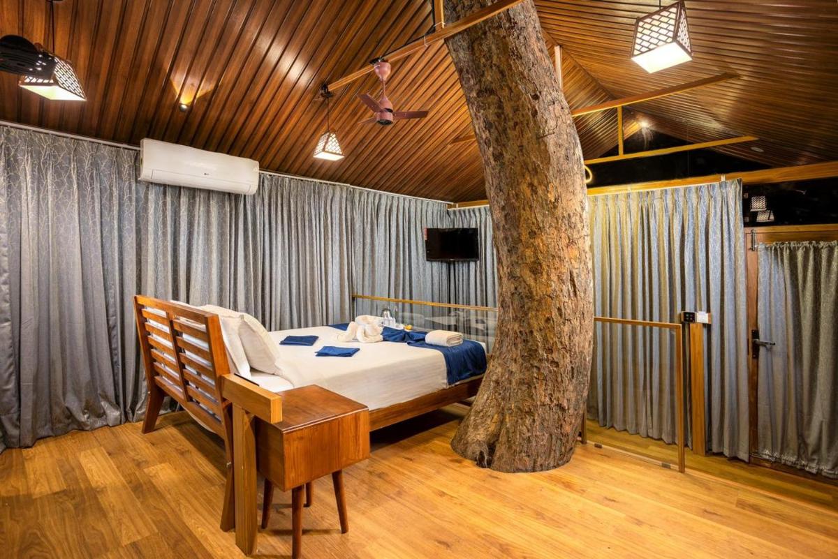 Eterno Camellia and Elettaria - Housity