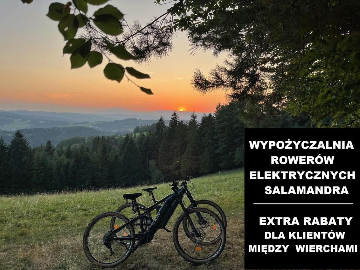 Między Wierchami - Housity