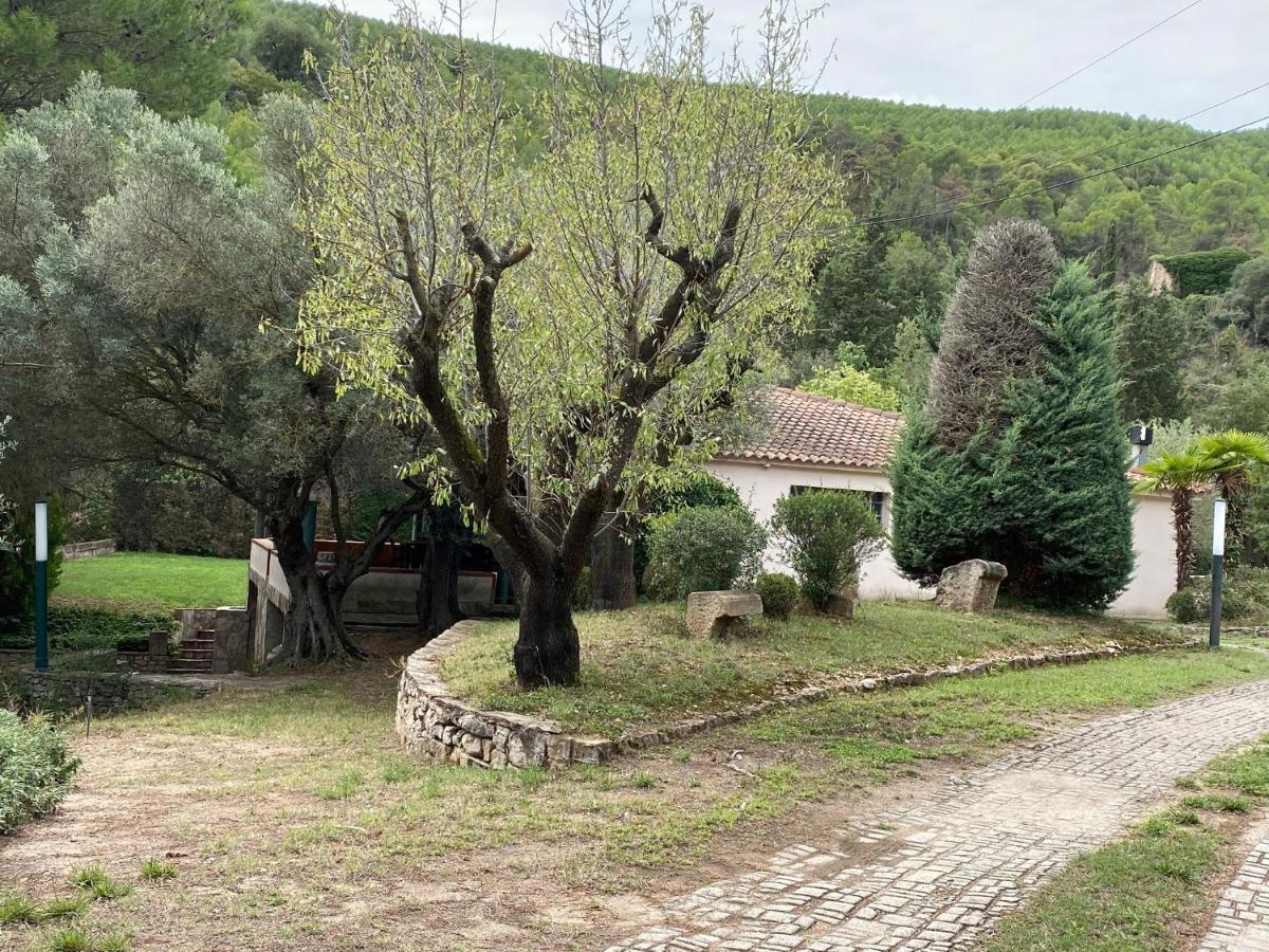 La Vinya de Mas Pujol - Housity