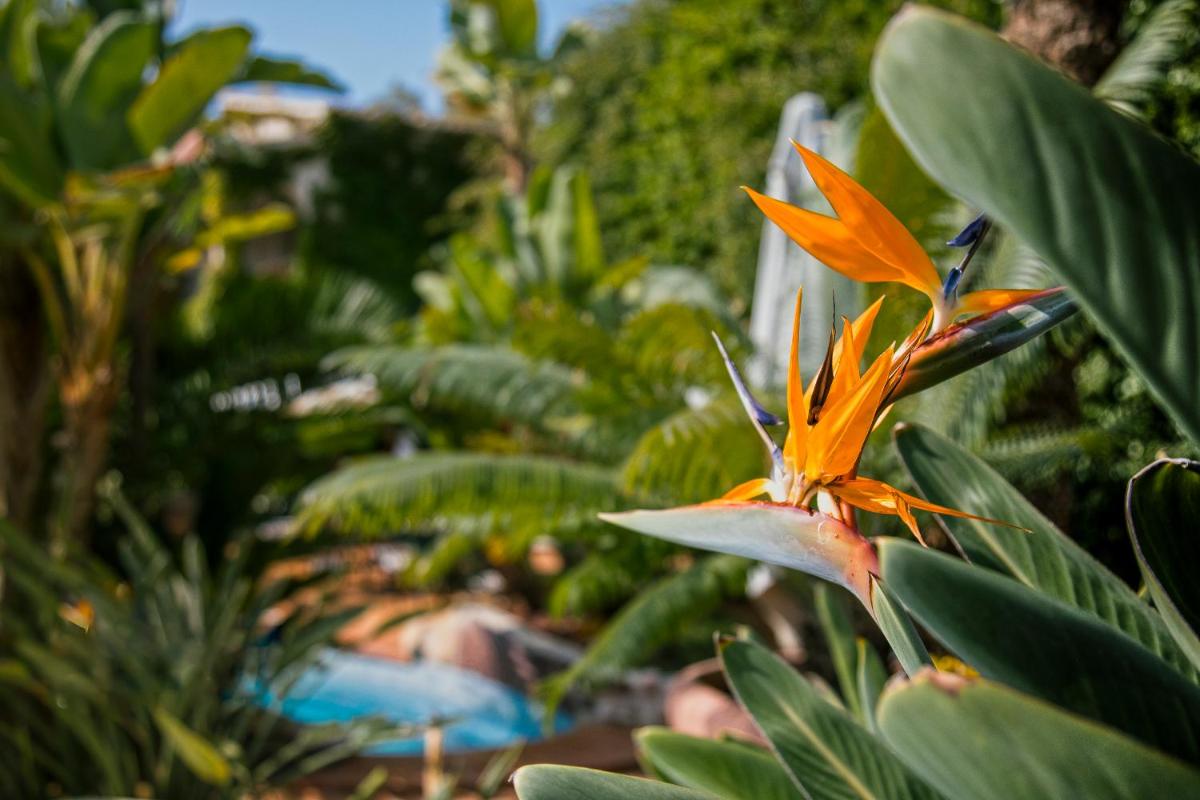 Jardín al aire libre en SWISS MORAIRA HOTEL & SPA - Adults only