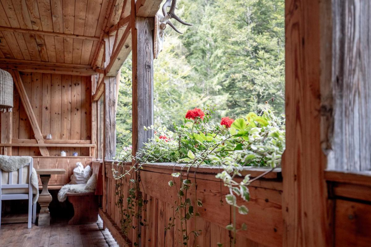 Talsenalm Wald Habitat - Housity