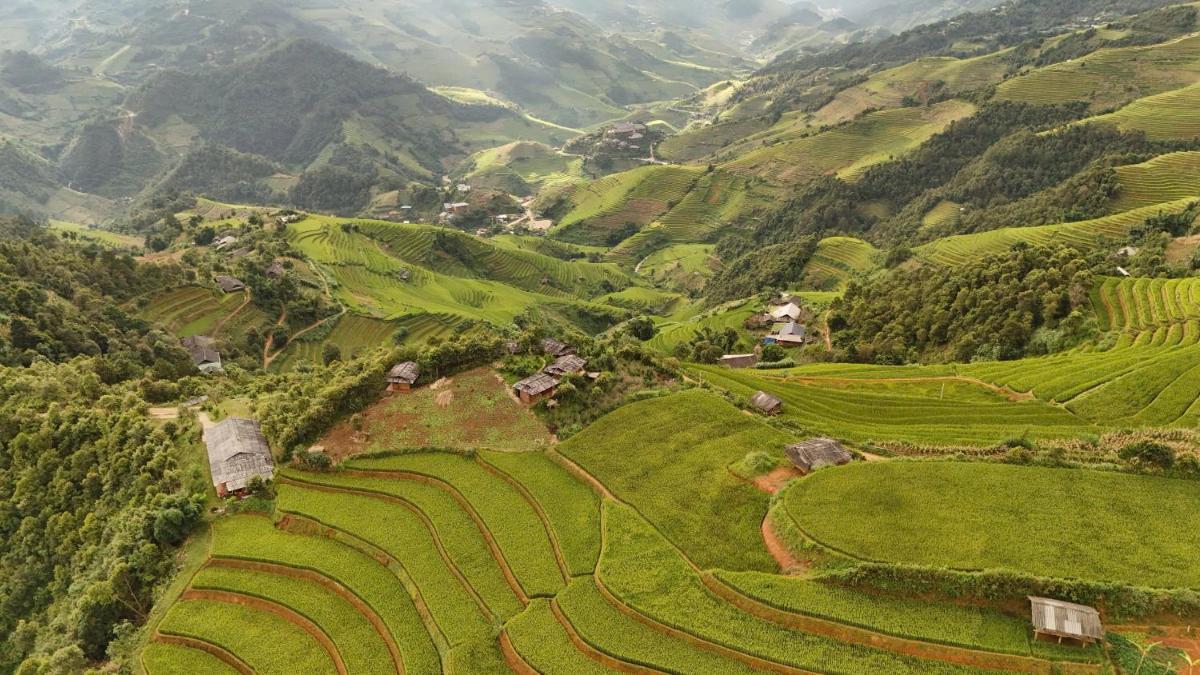 See bungalow mu cang chai - Housity