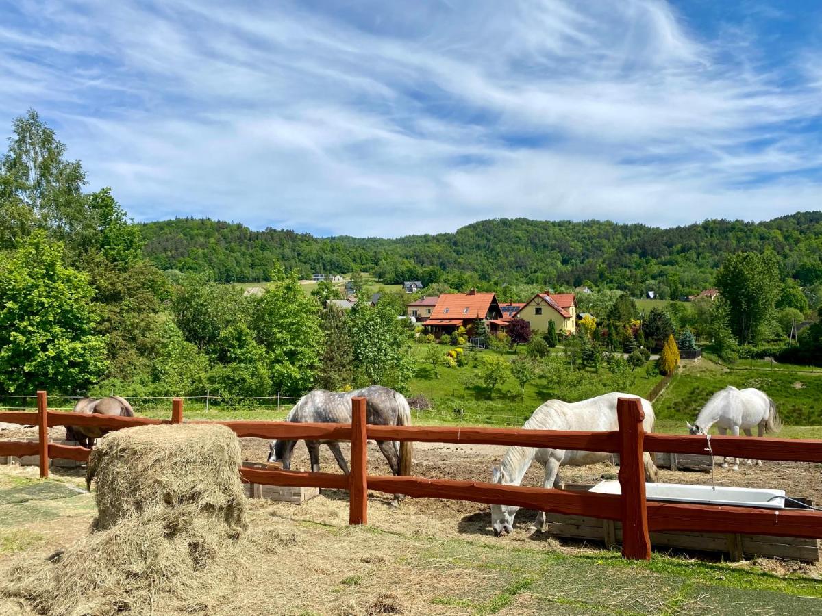 Rancho-Bierna - Housity