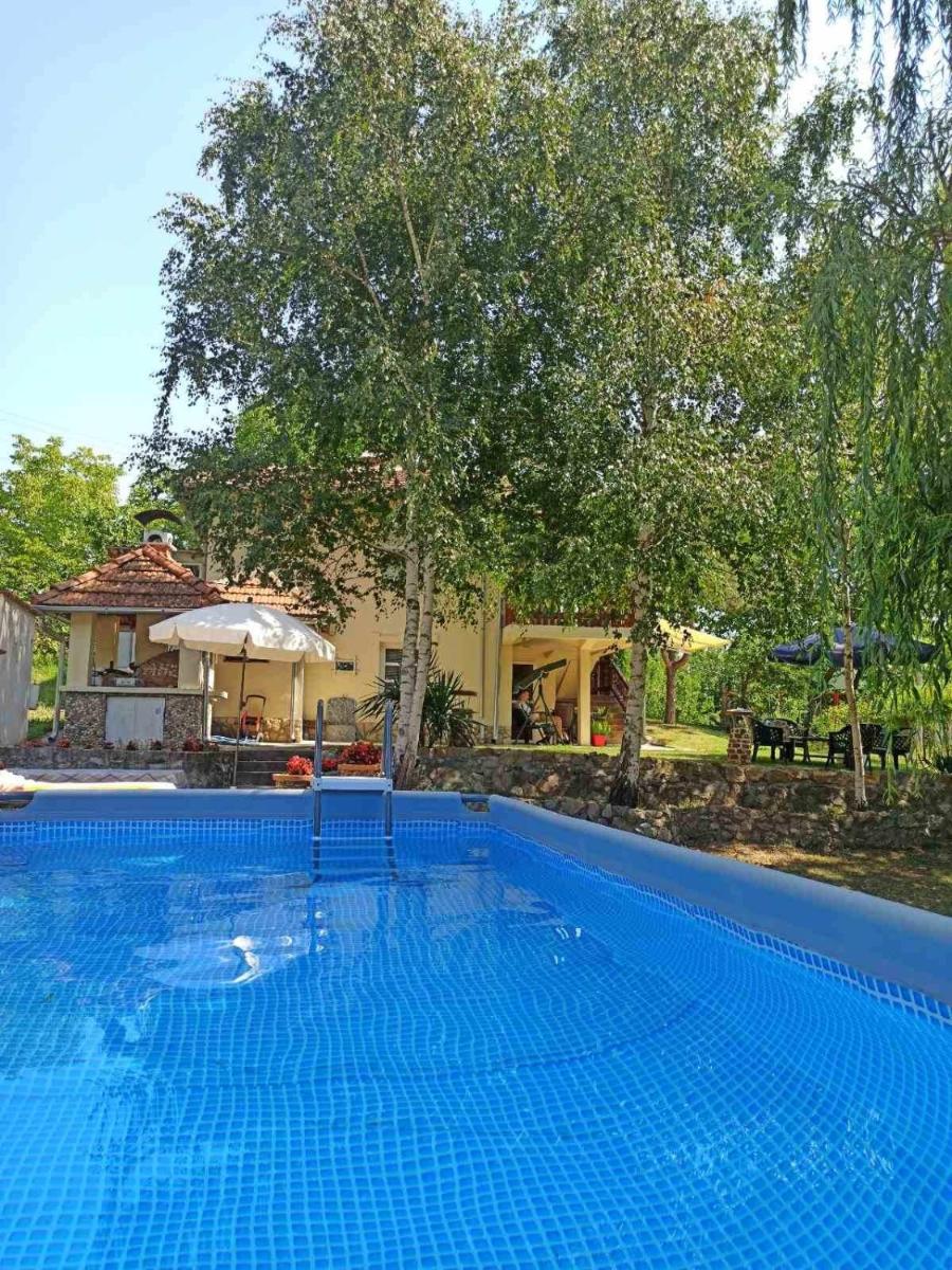 Dunavska Priča - Hizvo