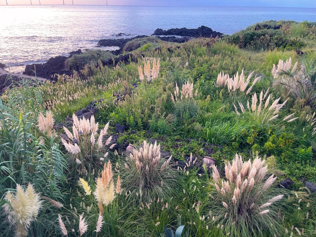 Ocean View Riad Jeju - Housity