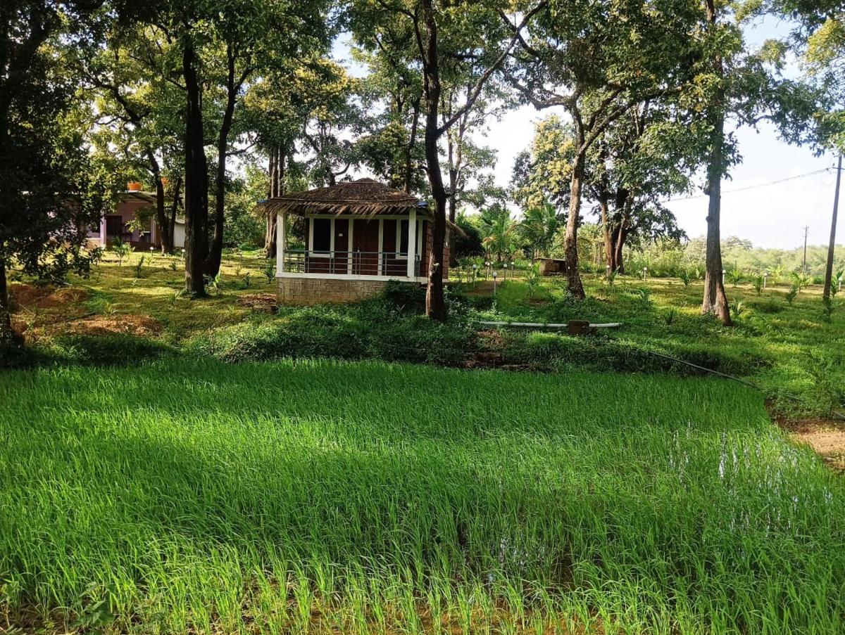 Dandeli Aura - Housity