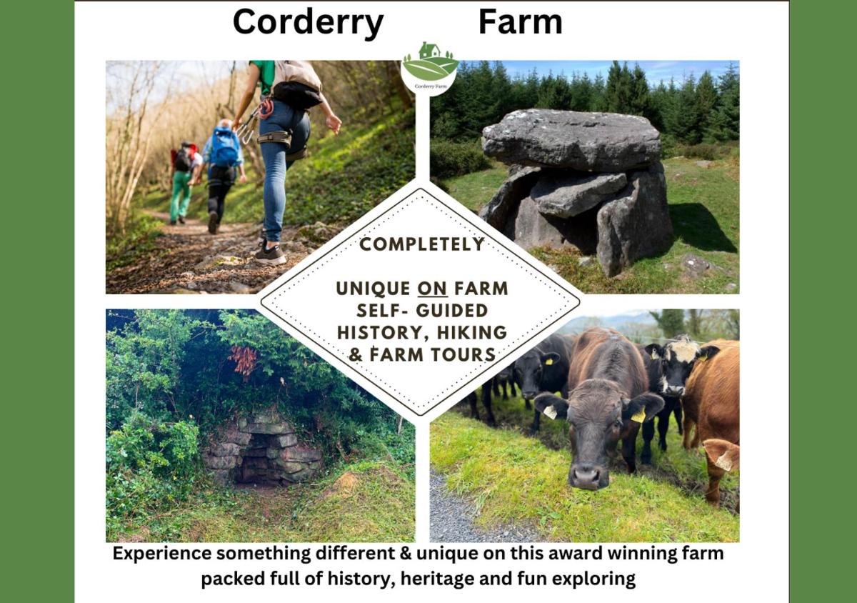 Corderry Farmhouse, idyllic cottage amid 250 acres - Housity