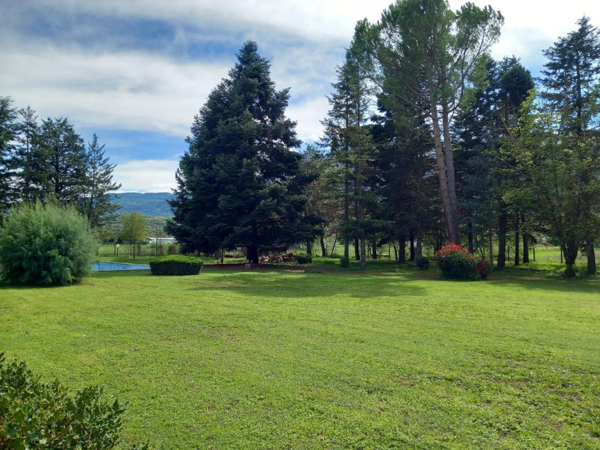 Casa Verde - Housity