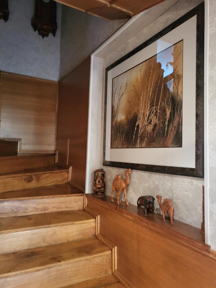 House Violeta - Housity