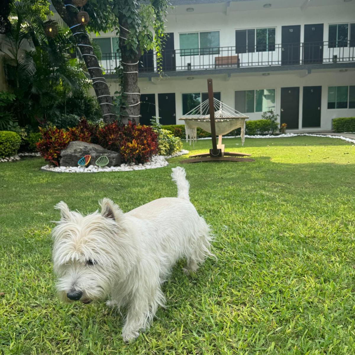 Hotel Boutique Luciérnaga - Housity