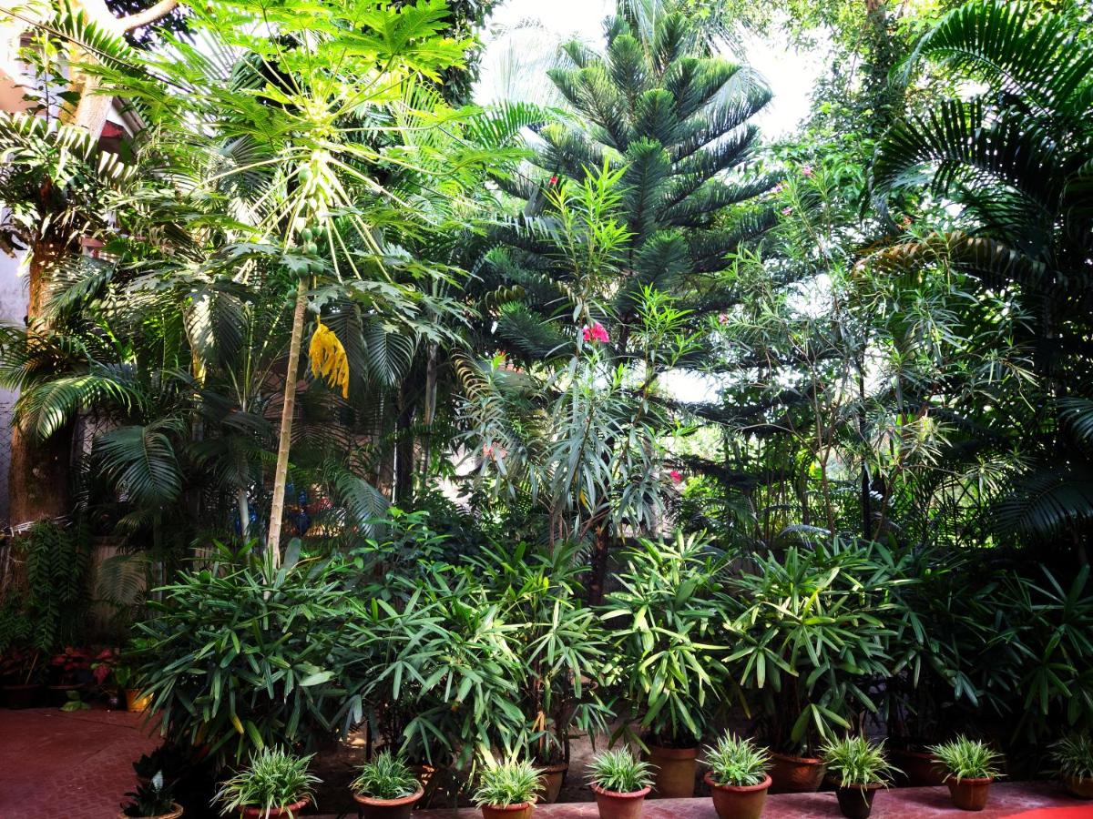 Chaiti Eco Homestay- Santiniketan Bolpur - Housity