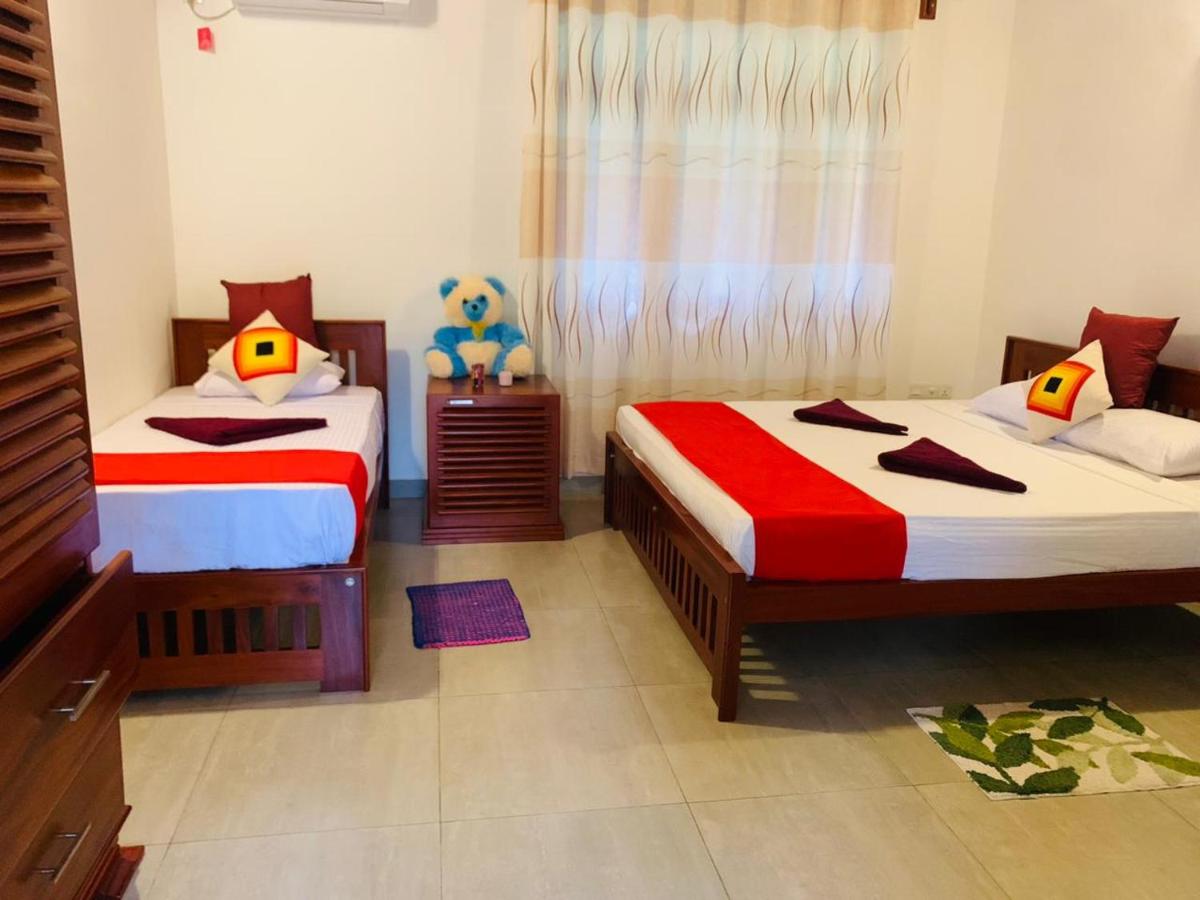 Orchid Dream - Housity