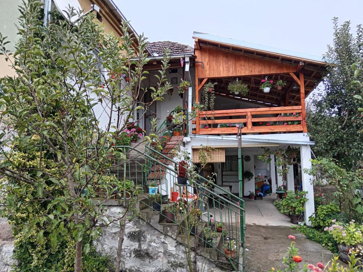 STD Verice Đorđević - Housity