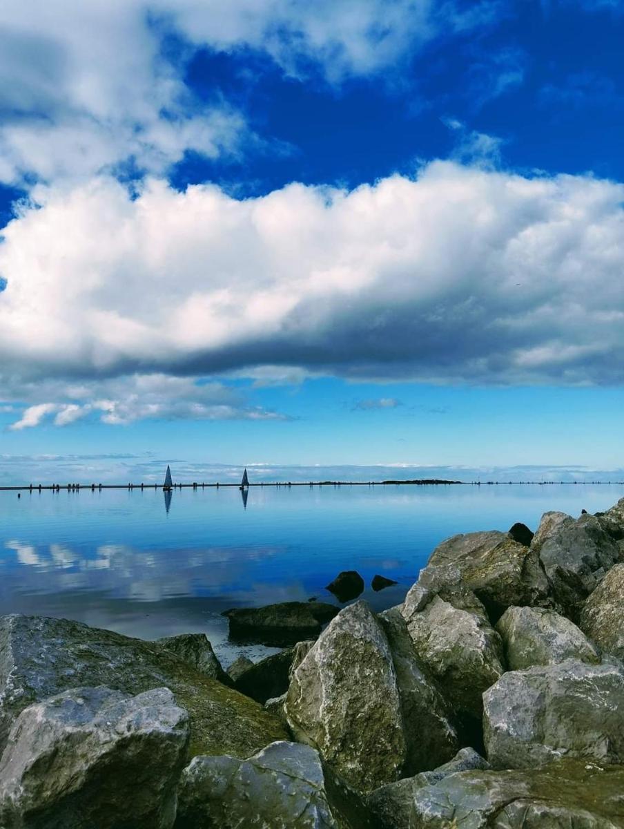 Modern Town Apartment with Terrace - Housity