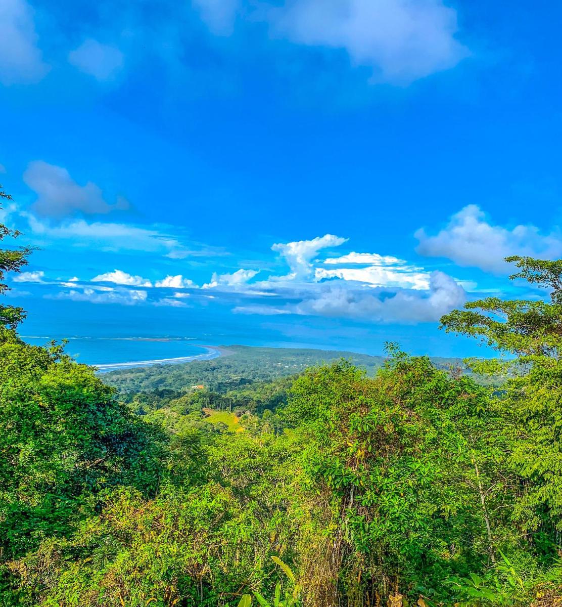 Breathtaking Ocean View on Mountain in the Jungle - Housity