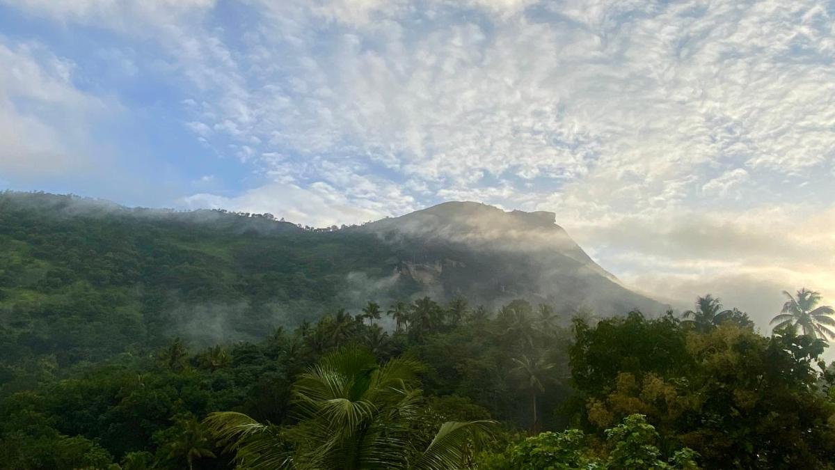 7s Castle Munnar Mountain View Homestay - Housity