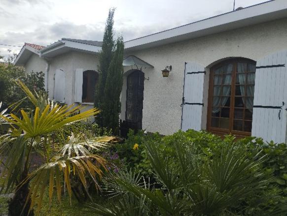 L'Orangine - Housity