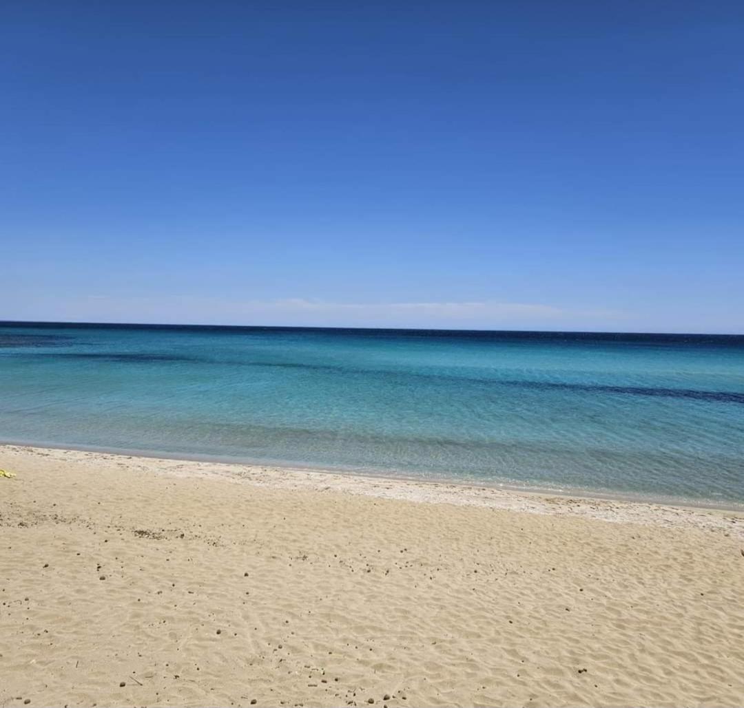 La Terrazza sul Mare - Housity