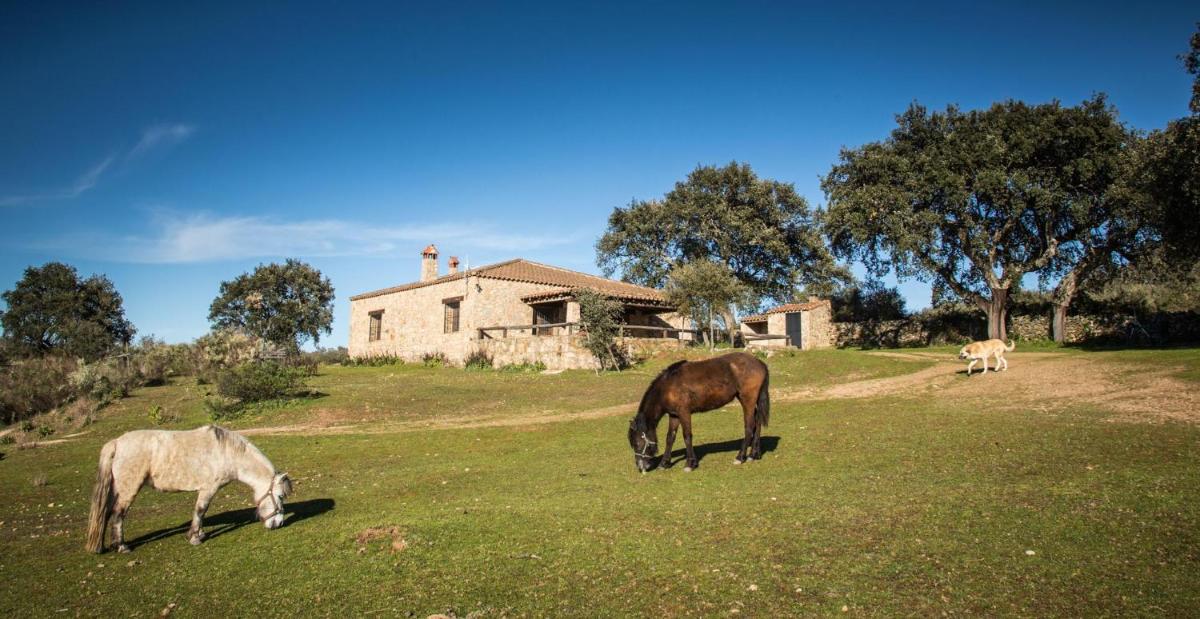 Casa Rural La Vega - Housity