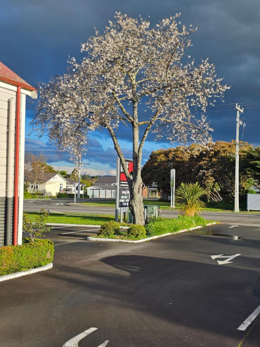 Gateway Motor Inn - Housity