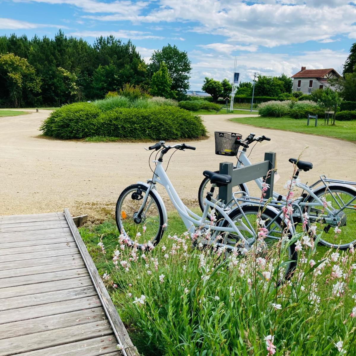 Vélo sur le terrain de l'établissement La Petite Couronne, Ecolodge & Lofts ou dans les environs