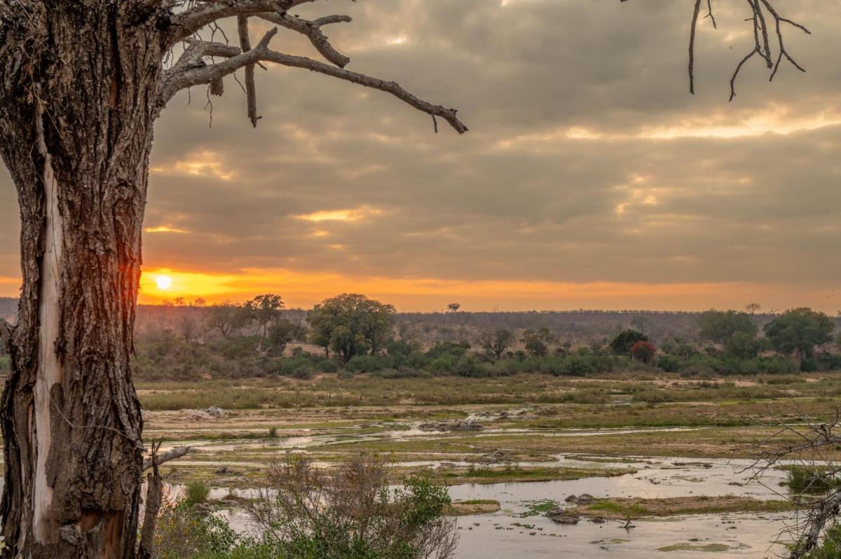Foxy Crocodile Bush Lodge & Kruger Safari's - No Loadshedding - Housity