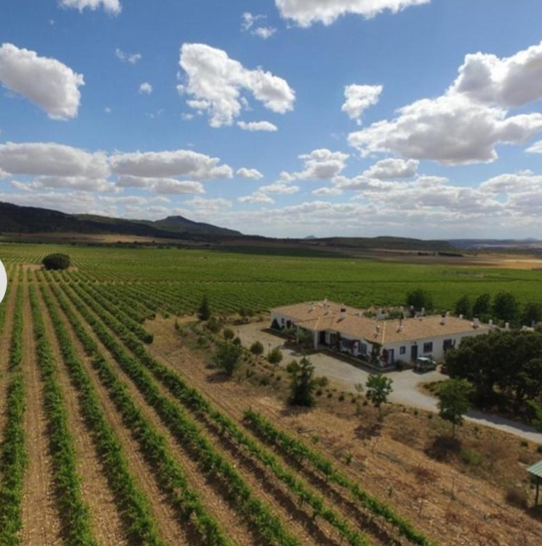 Finca El Romeral - Housity
