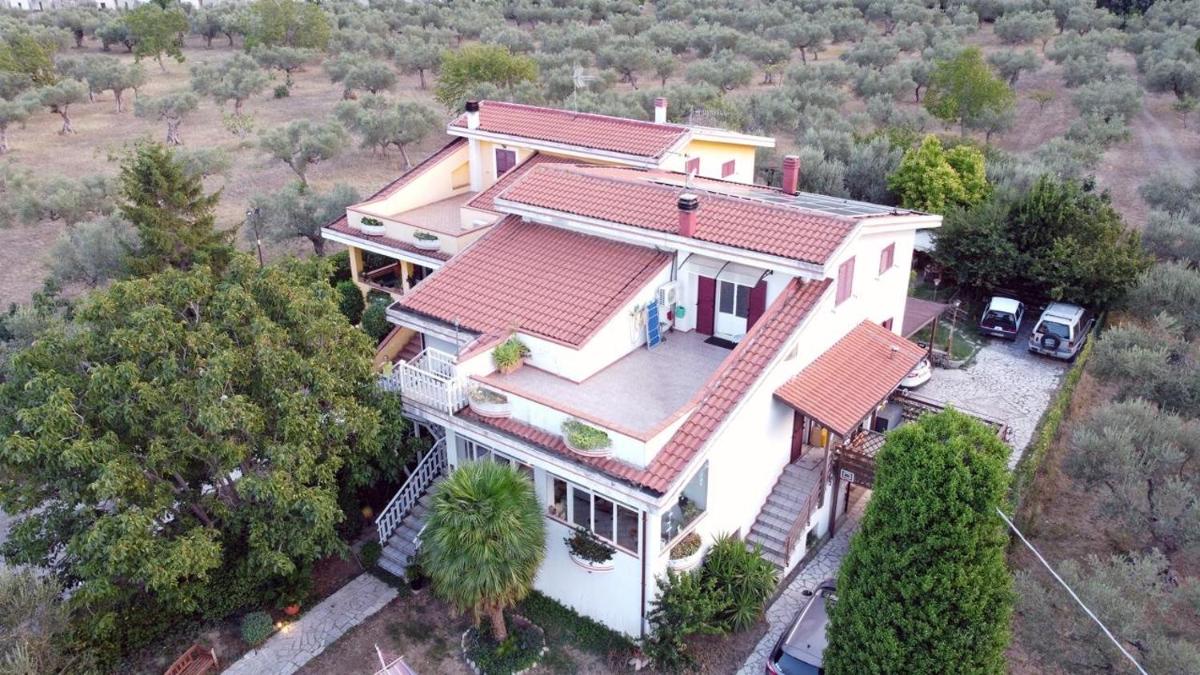 Villa Ulivi - Housity