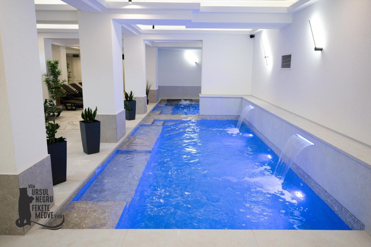 Vila Ursul Negru - Housity