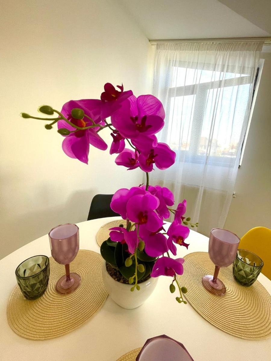 Residence 7 De Lux ! - Housity
