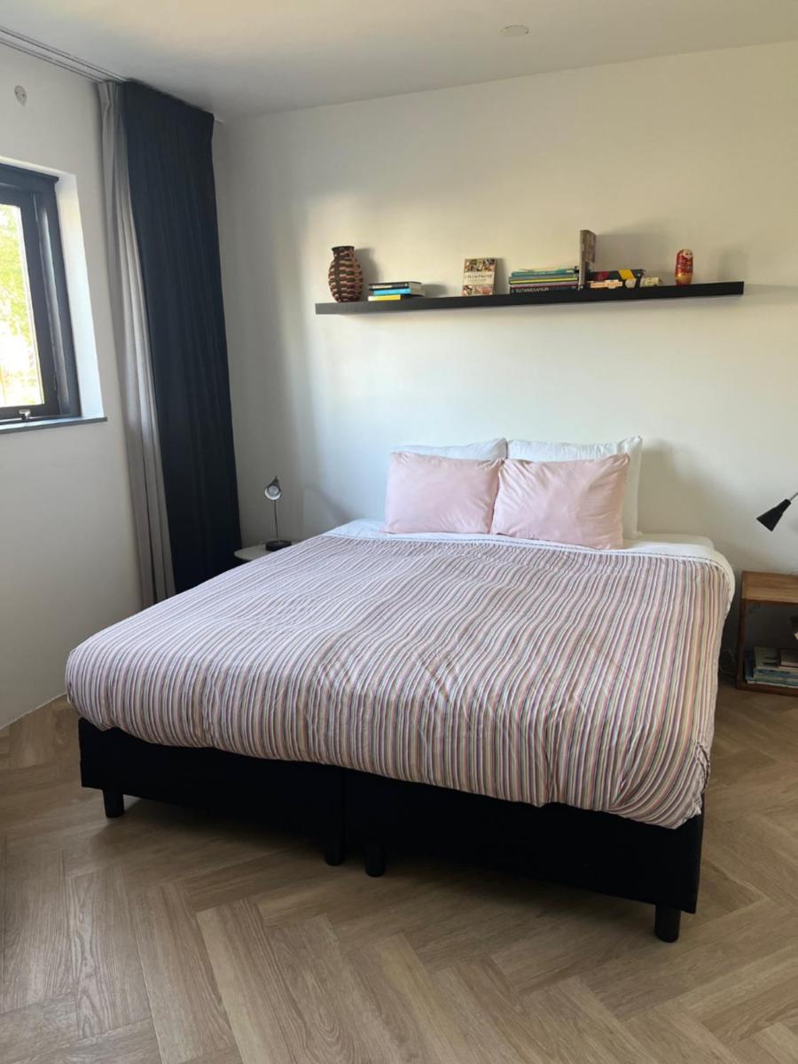 De grote Zeearend - Housity