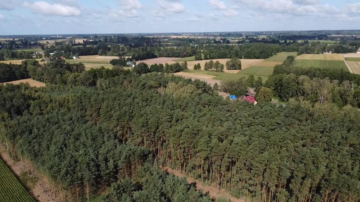 Maciejówka Gospodarstwo Agroturystyczne - Housity