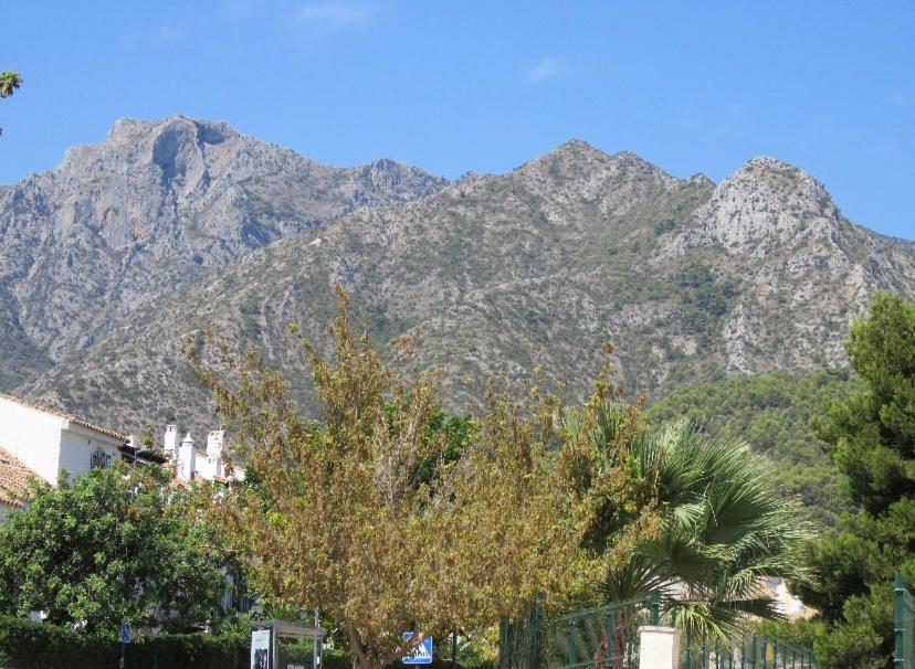 Apartamento bien situado en Marbella - Housity