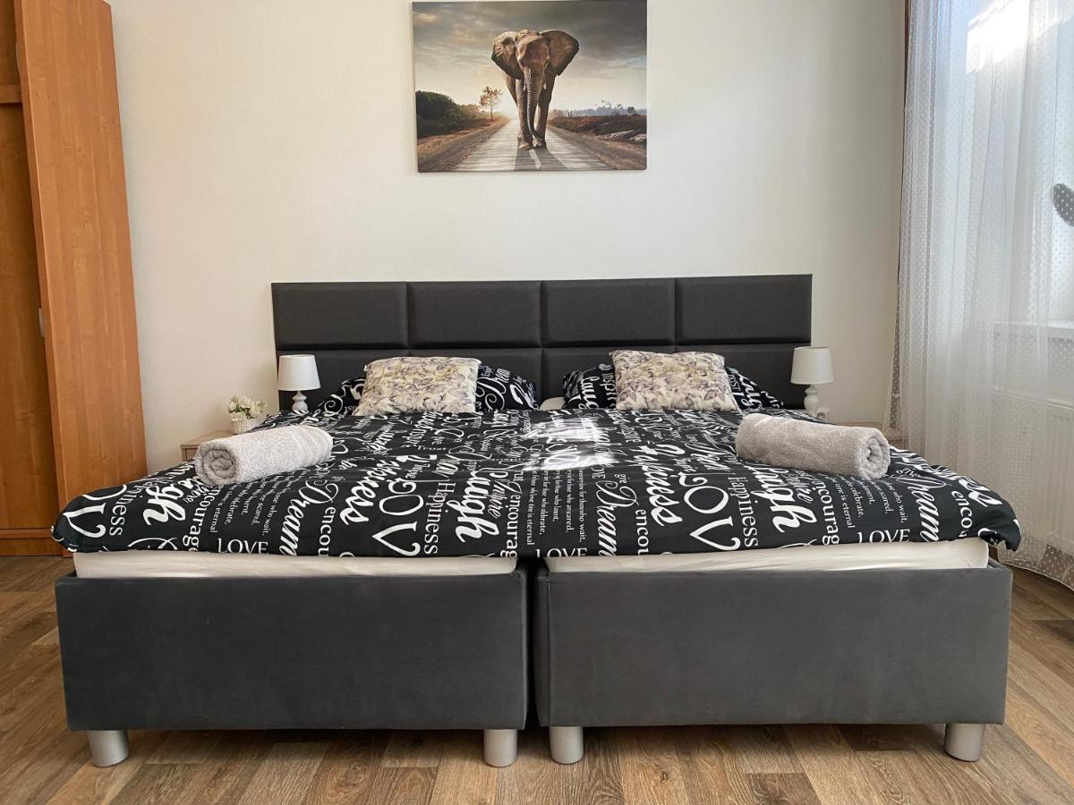 Černý Tulipán - Apartmán 2 - Housity