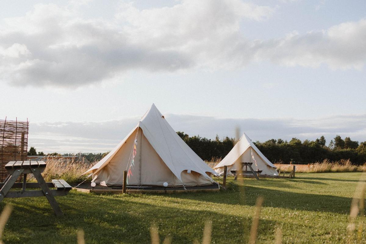 Doxford Farm Camping - Housity