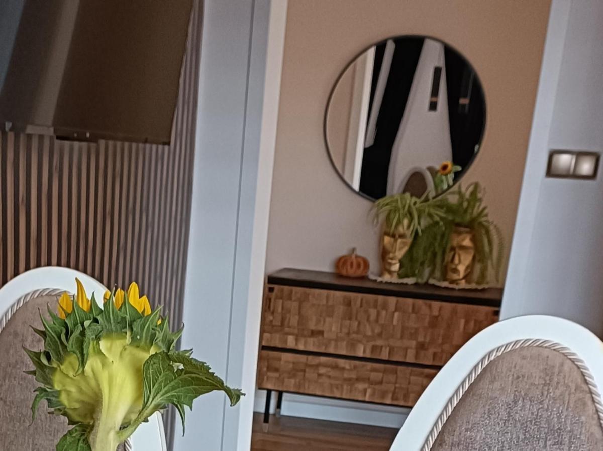Apartamenty Holender House Choczewo - Housity