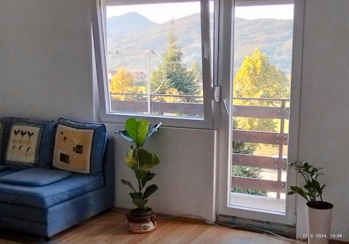 Apartman "Milka" Bajina Bašta - Housity