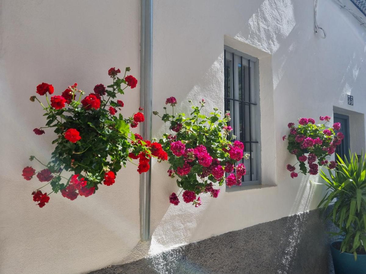 CASITA CAZORLA - Housity