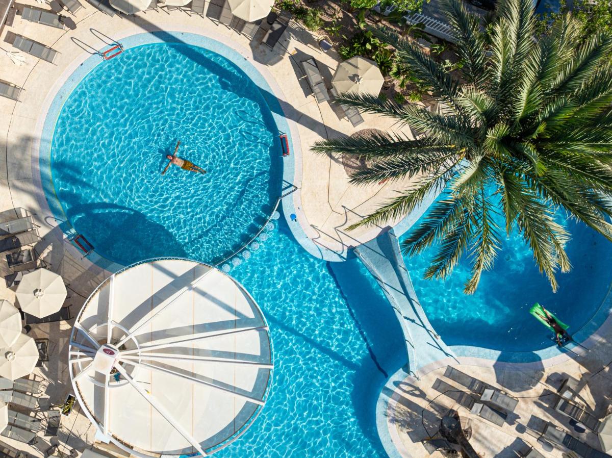 Una vista aérea de una piscina con una palmera. en JS Sol de Alcudia, en Puerto de Alcudia