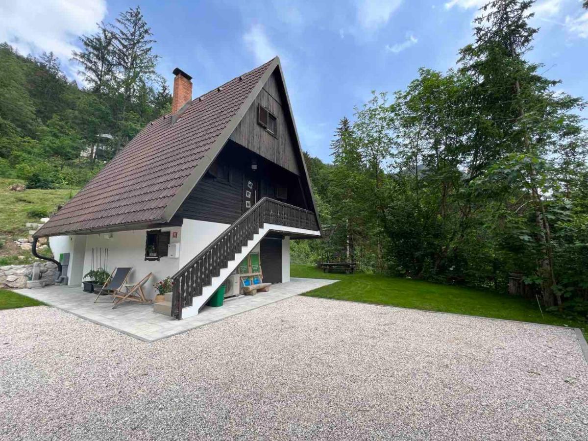 Our Forest House - Housity