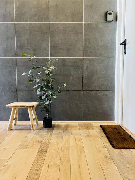 Studio Girafe, style bohème et atypique, Curistes - Housity