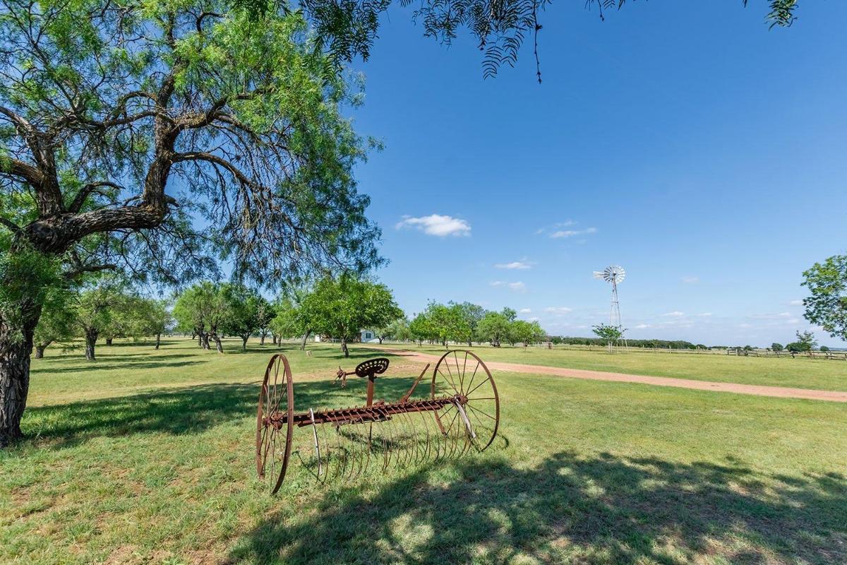 Oma's House - Hizvo
