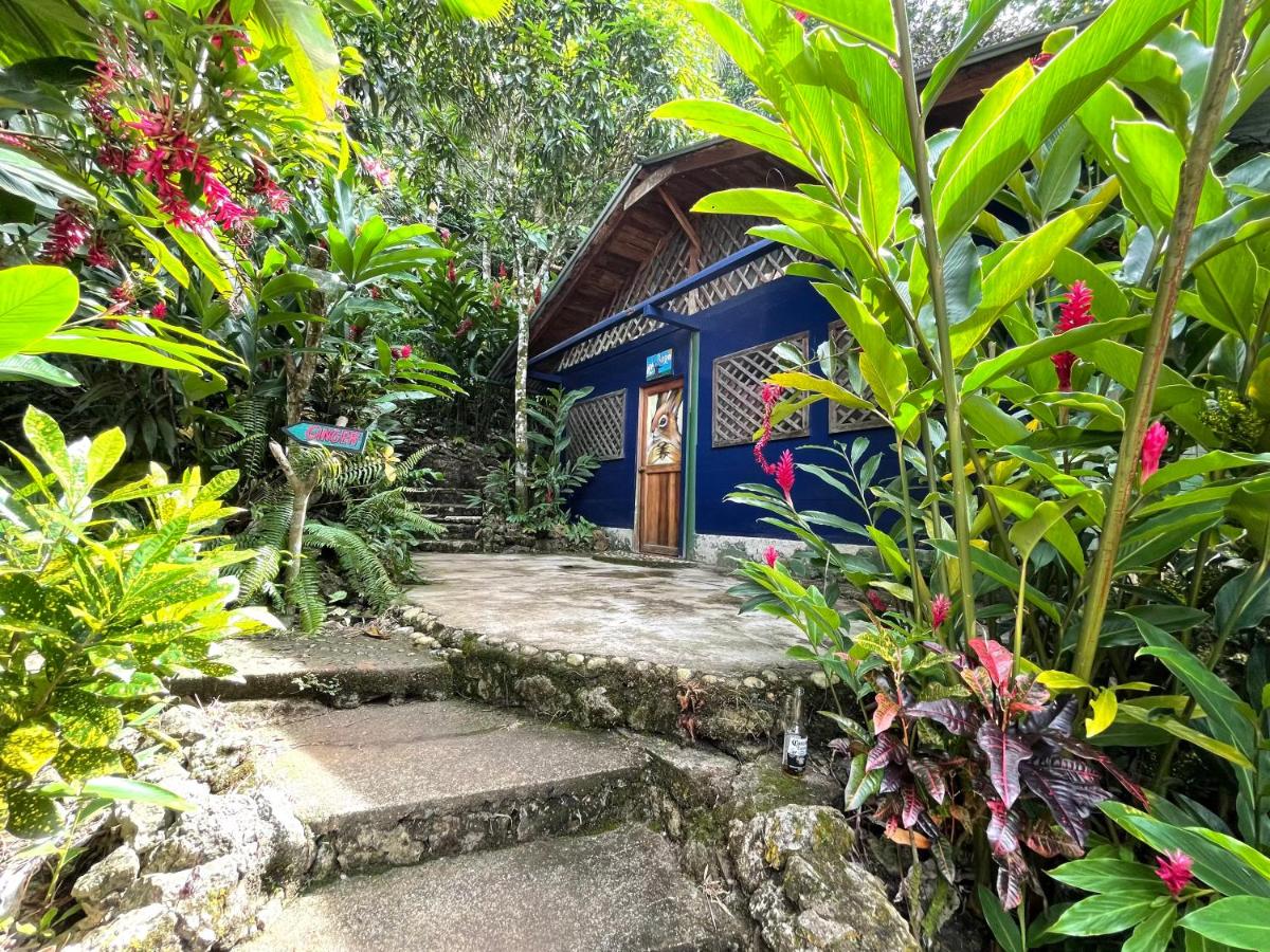 Palmeras del Río HOTEL - Housity