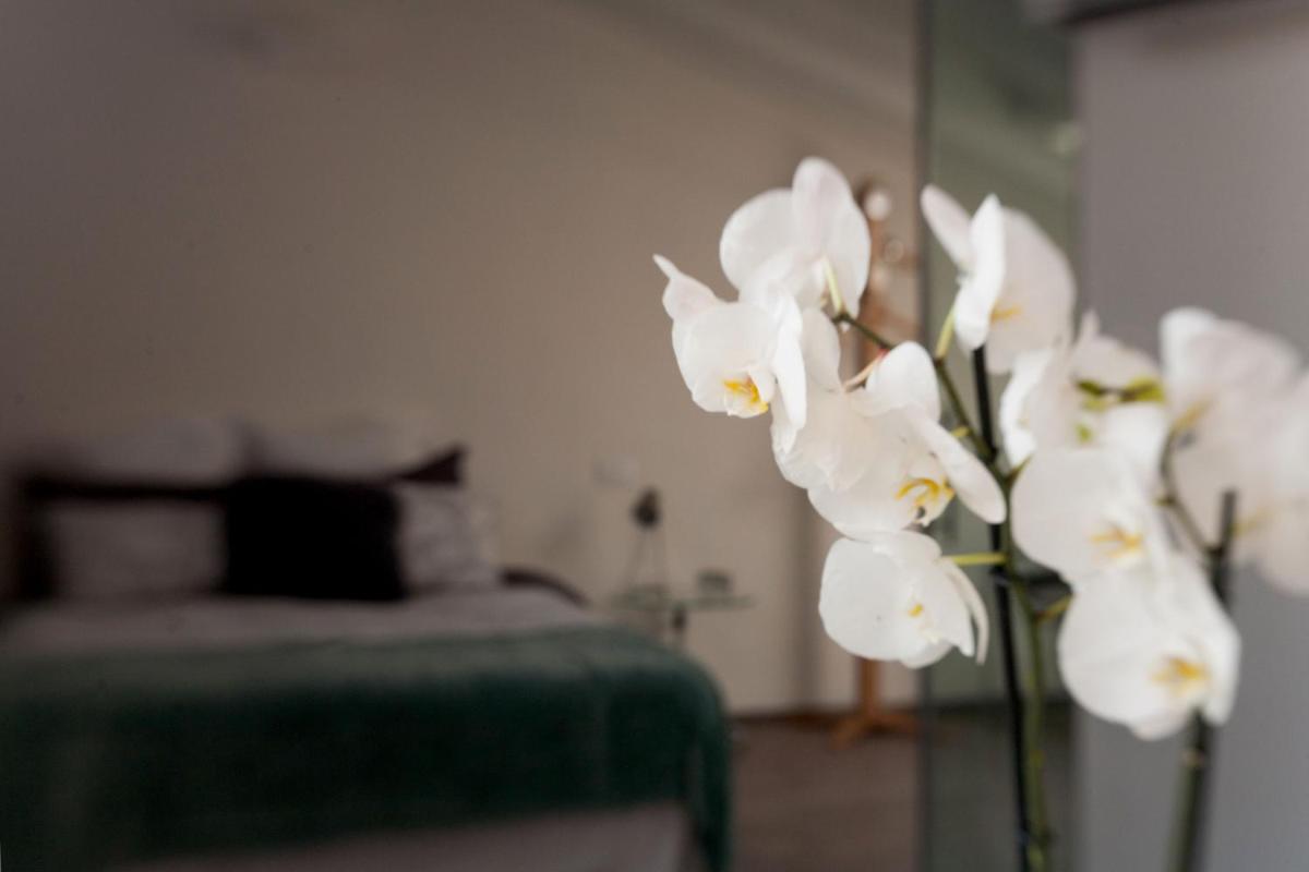 San Clemente - Housity