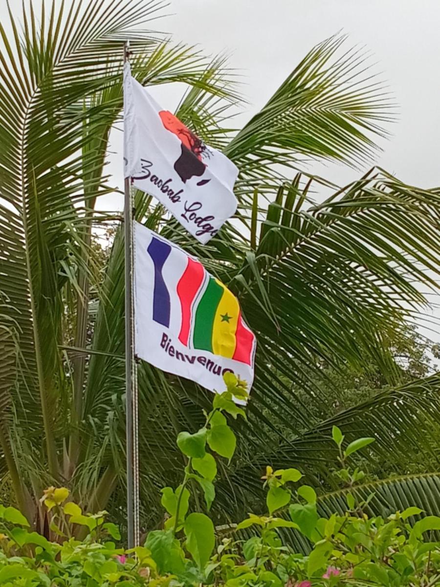 Baobab Lodge - Housity