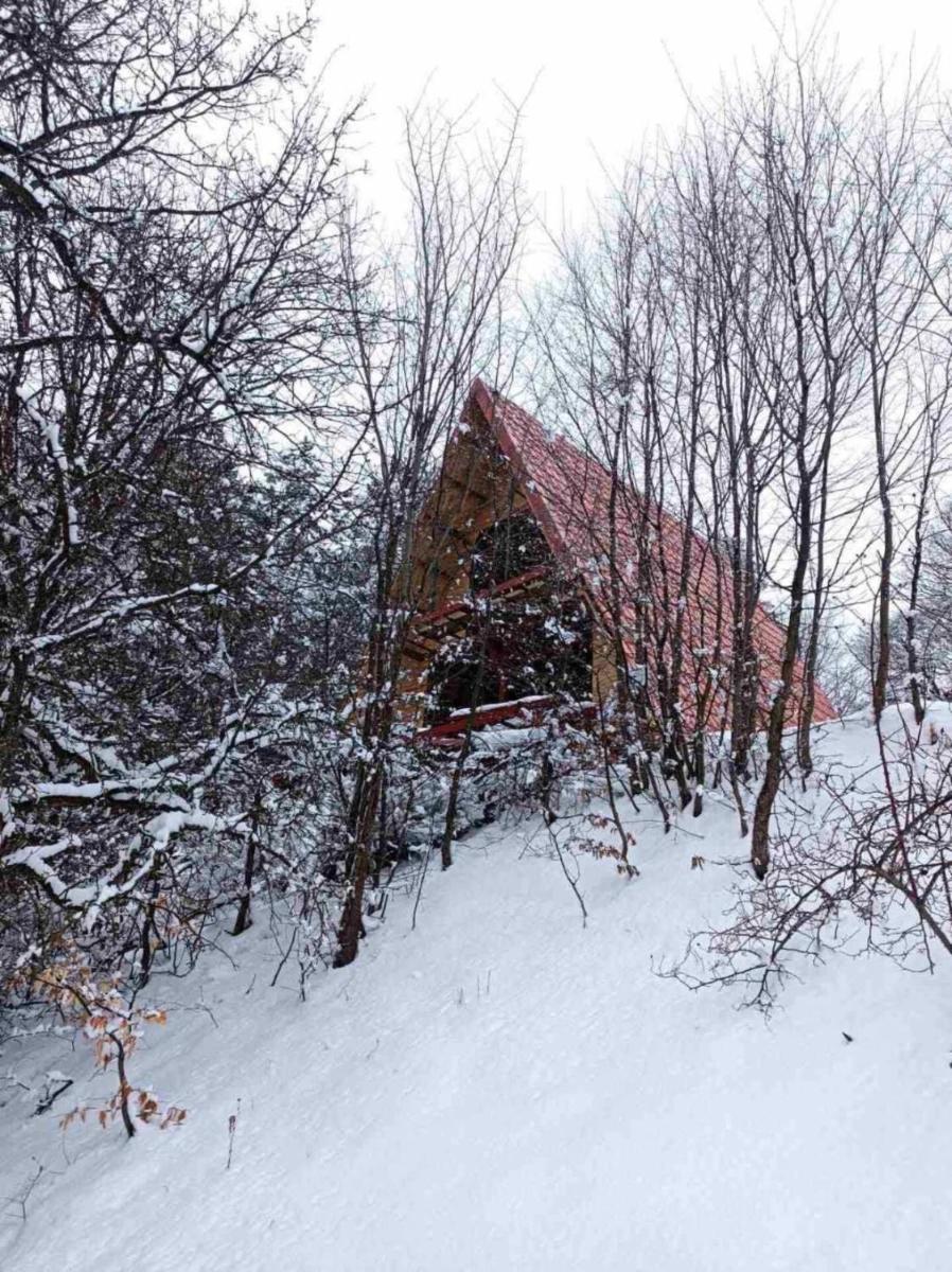 Ankyun DIlijan - Housity