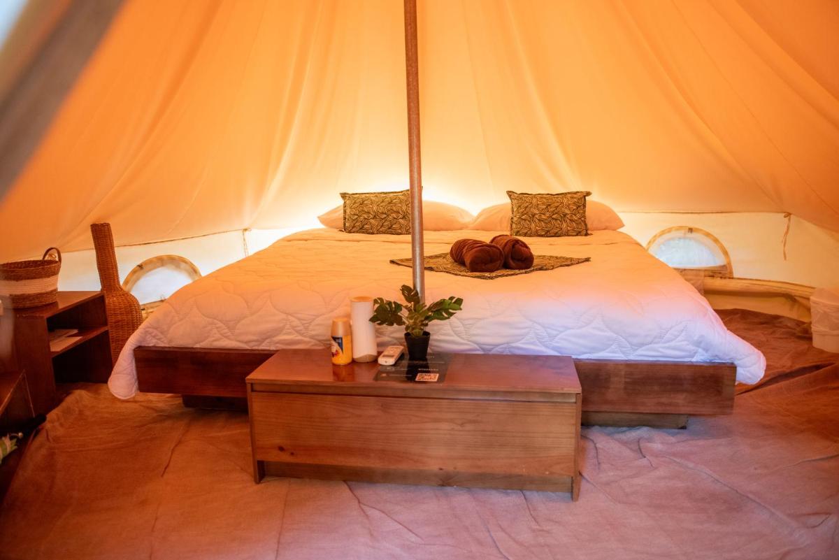 Seren Glamping - Housity