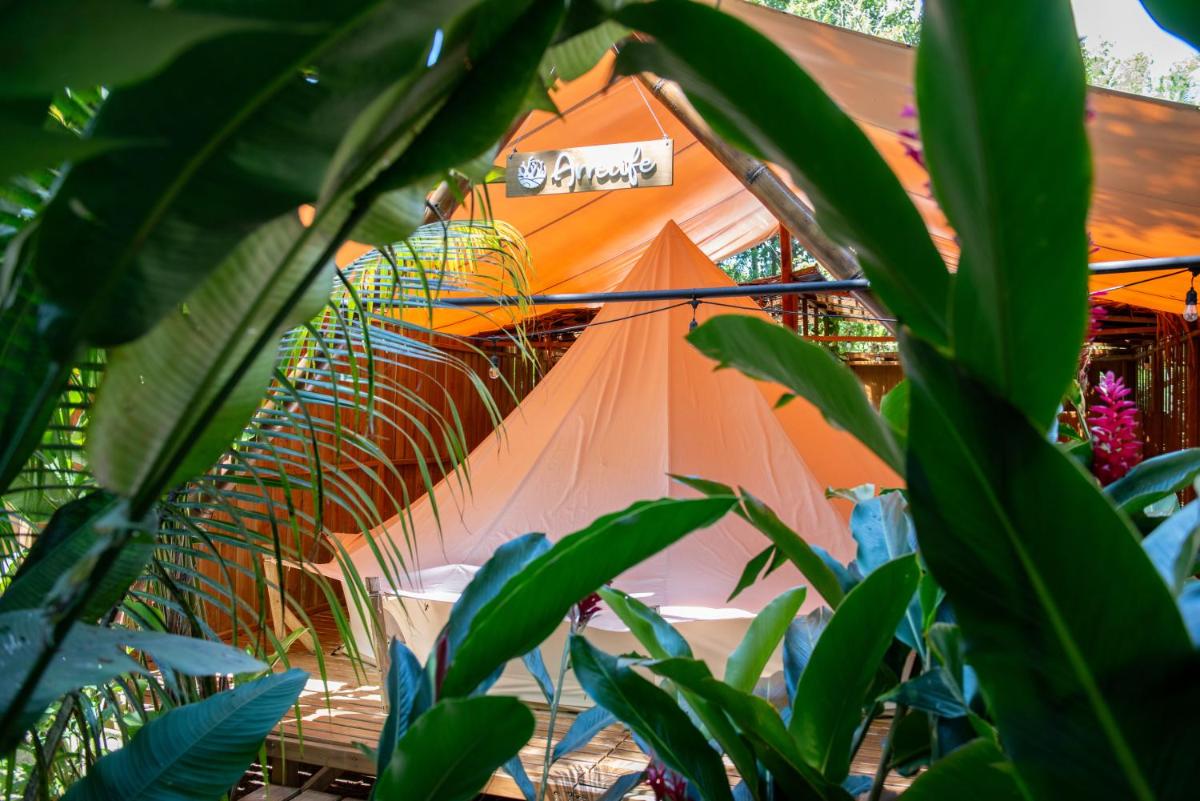 Seren Glamping - Housity