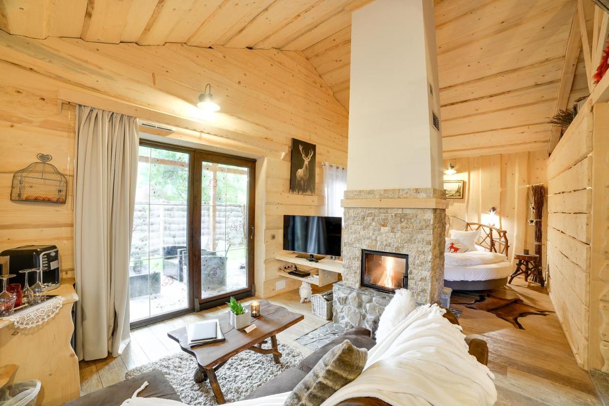 un salon avec cheminée dans une cabane en rondins dans l'établissement Domaine du Haut Jardin Hôtel & Chalets Spa Privé, à Rehaupal