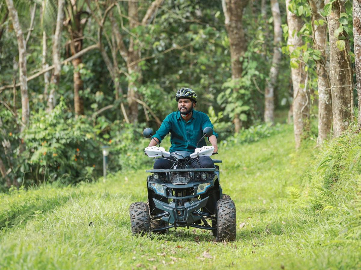 Serene Crest Resort - Housity